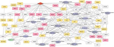 Assessing network-based methods in the context of system toxicology